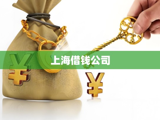 上海借钱公司 上海借钱公司